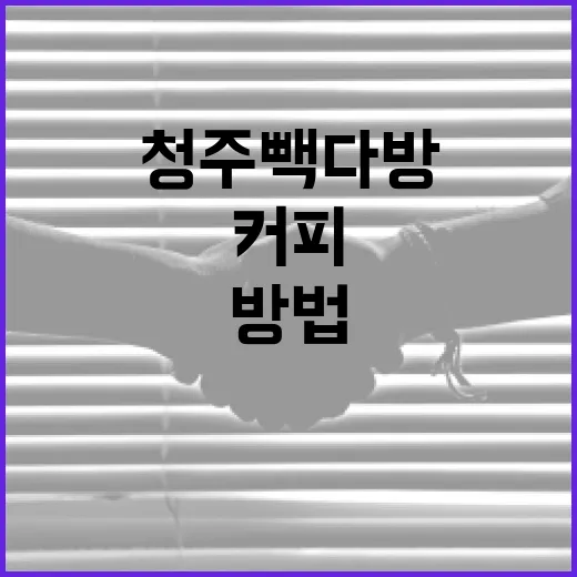 청주 빽다방에서 완벽한 커피를 즐기는 방법 - 요약