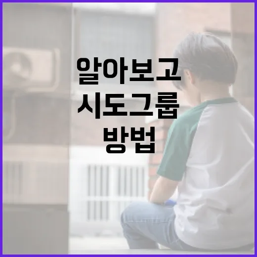 시도그룹에 대해 알아보고 활용하는 방법 - 요약