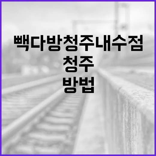 빽다방 청주내수점을 즐기는 방법 - 요약
