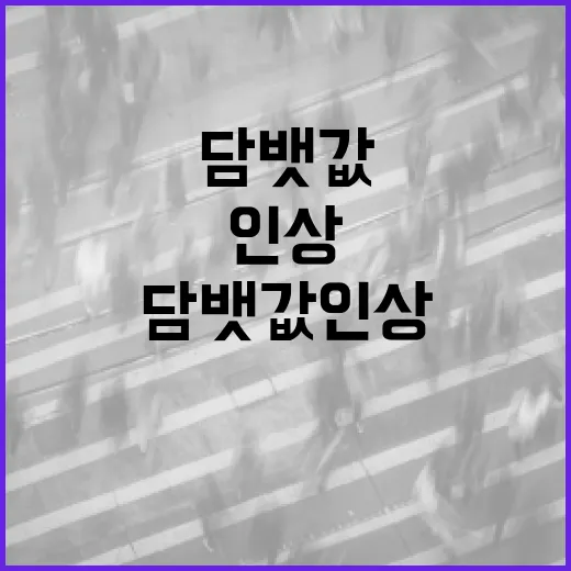 담뱃값 인상에 대처하는 방법: 건강과 경제적 이점 - 요약