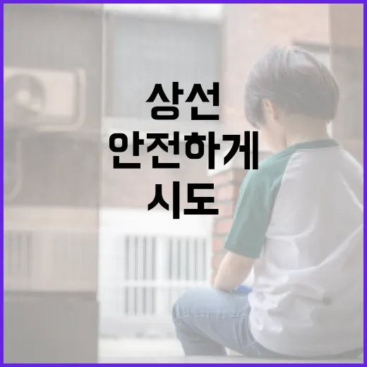 시도상선을 이해하고 안전하게 활용하는 방법 - 요약