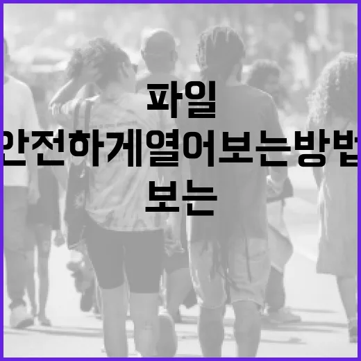 앱스타인 파일을 안전하게 열어보는 방법 - 요약