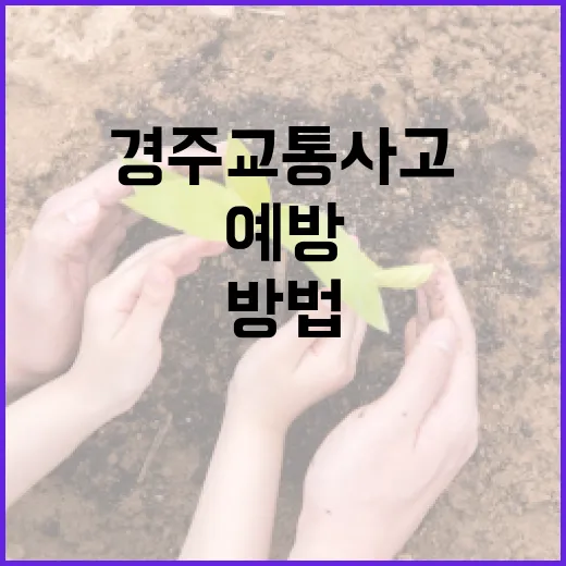 여수 해든이를 만끽하는 방법 - 요약