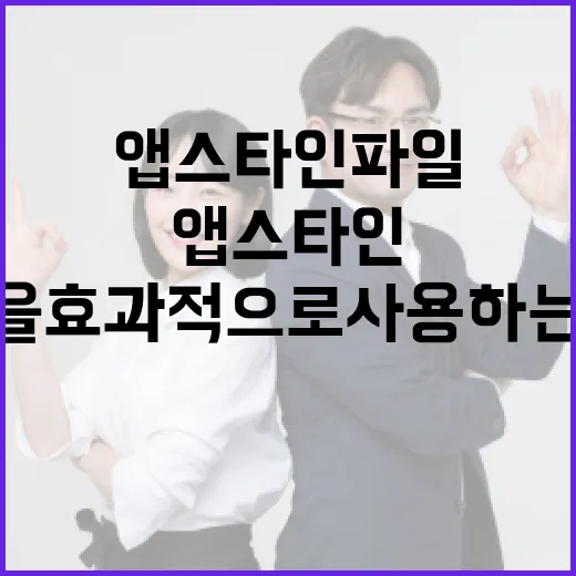 앱스타인 파일을 효과적으로 사용하는 방법 - 요약