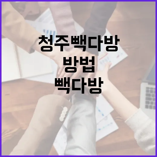 청주 빽다방을 제대로 즐기는 방법 - 요약