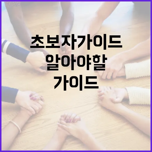 시도상선에 대해 알아야 할 모든 것: 초보자 가이드 - 요약