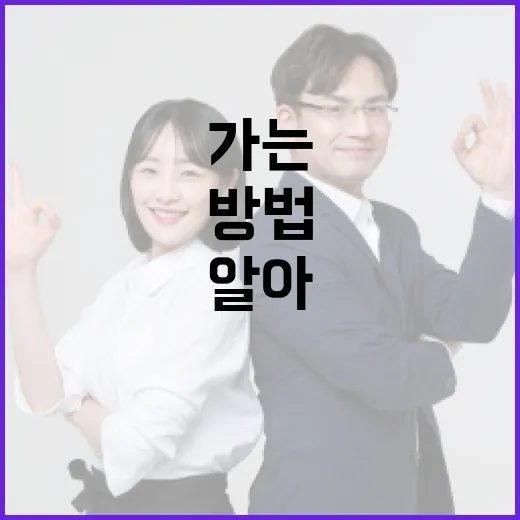 김진을 알아가는 방법: 그의 경력을 조명합니다 - 요약