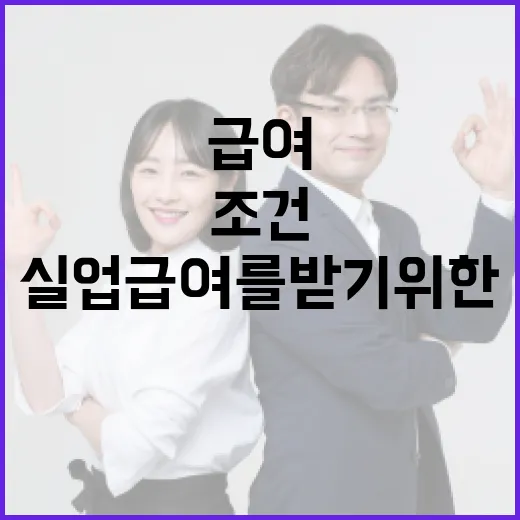실업급여를 받기 위한 조건과 절차 알아보기 - 요약