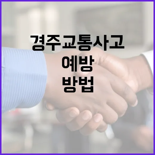경주 교통사고를 예방하는 방법 - 요약