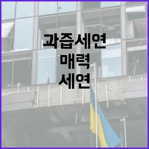 과즙세연의 매력을 느끼는 방법 - 요약