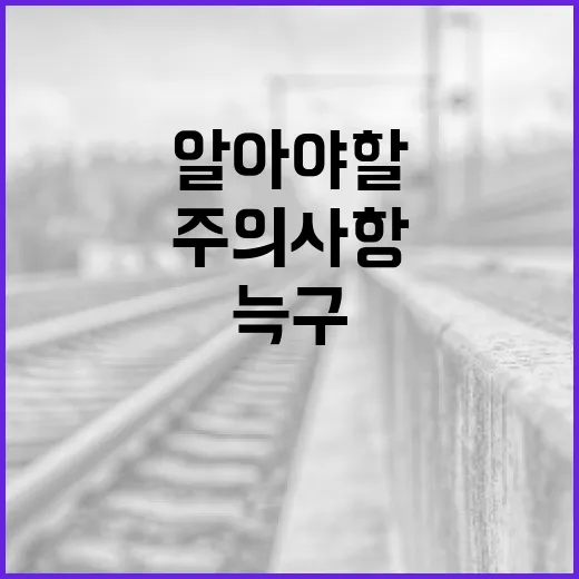 늑구에 대해 알아야 할 모든 것: 키우는 방법부터 주의사항까지 - 요약