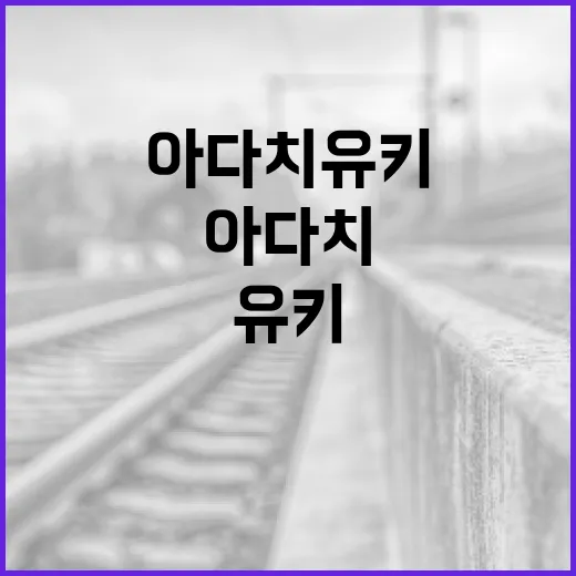 아다치 유키를 이해하는 방법: 그의 작품과 영향력