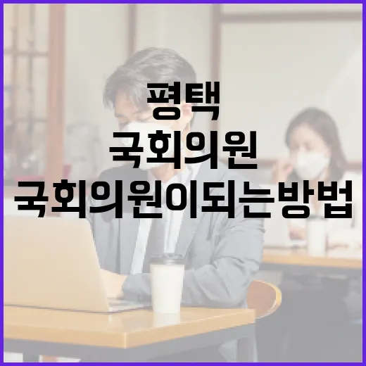 평택에서 국회의원이 되는 방법 - 요약