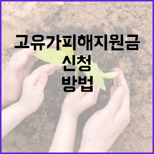 고유가 피해지원금을 신청하는 방법과 꿀팁 - 요약