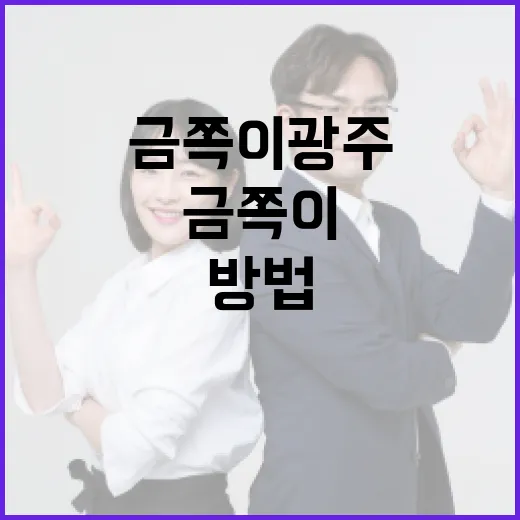 금쪽이 광주에서 즐기는 방법 - 요약