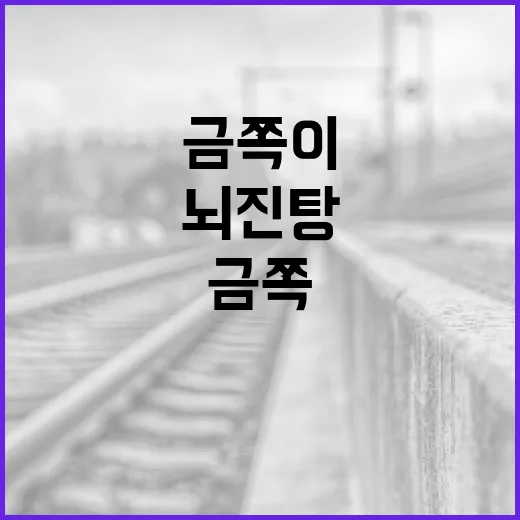 뇌진탕 금쪽이를 위한 안전한 생활 방법 - 요약