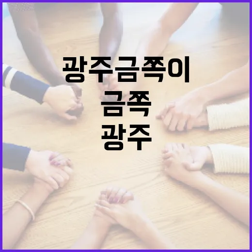 광주 금쪽이를 제대로 즐기는 방법 - 요약