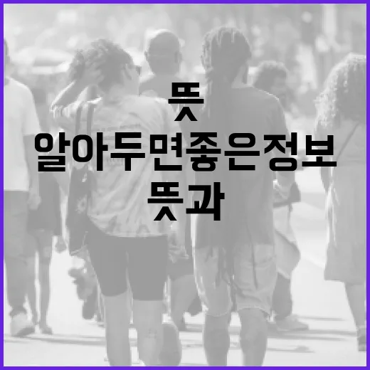 남미새 뜻과 알아두면 좋은 정보 - 요약