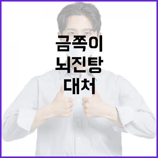금쪽이가 뇌진탕을 당했을 때 대처하는 방법 - 요약