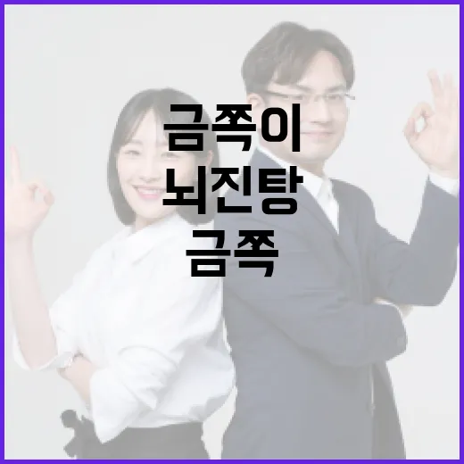 금쪽이를 위한 뇌진탕 대처 방법 - 요약