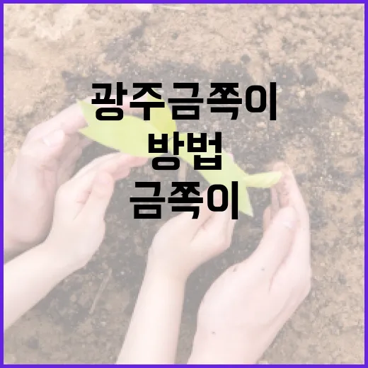 광주 금쪽이 맛집 찾는 방법 - 요약