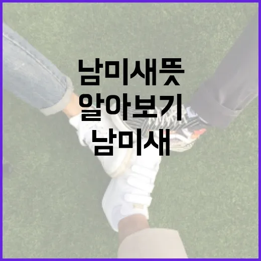 남미새 뜻과 활용 방법 알아보기 - 요약