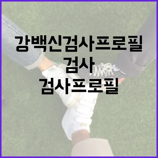 강백신 검사 프로필을 완벽하게 이해하는 방법 - 요약