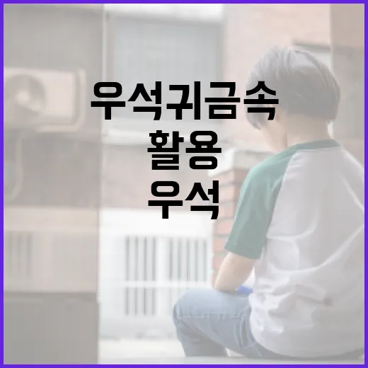 우석귀금속을 이해하고 활용하는 방법 - 요약