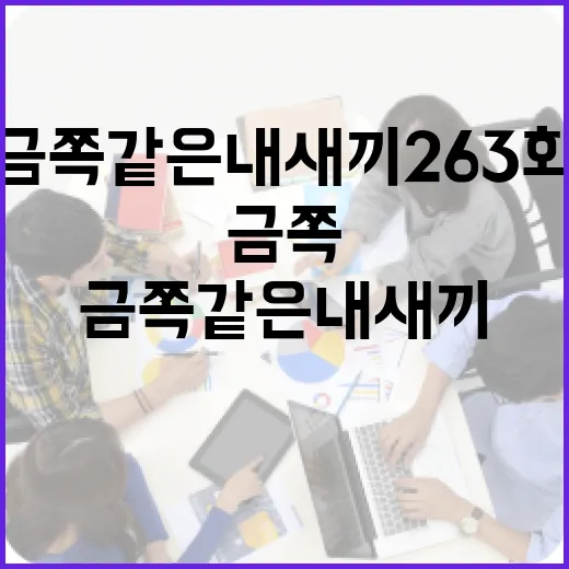 금쪽같은 내 새끼 263화를 제대로 즐기는 방법 - 요약