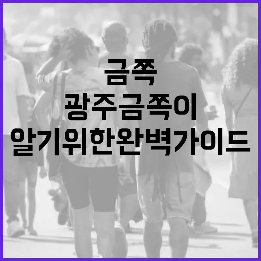 광주 금쪽이를 알기 위한 완벽 가이드 - 요약