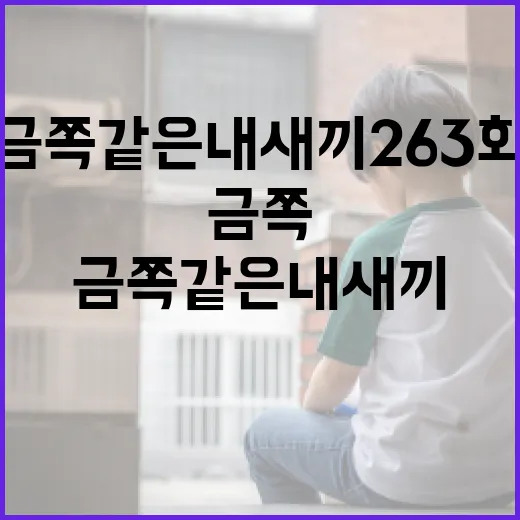금쪽같은 내 새끼 263화를 이해하고 활용하는 방법 - 요약