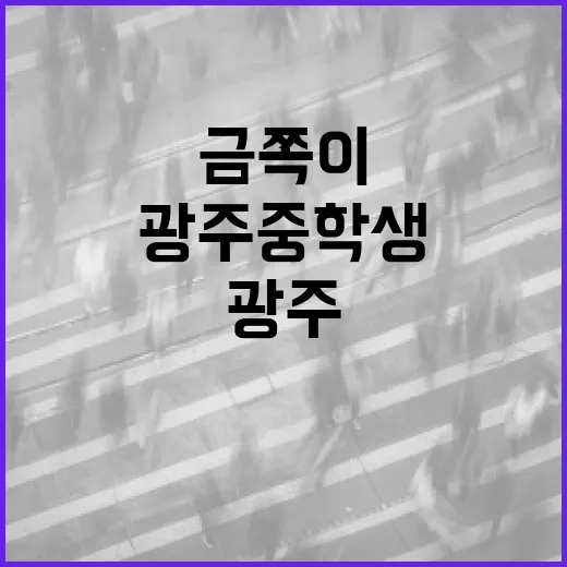 광주 중학생 금쪽이를 위한 생활 꿀팁 - 요약