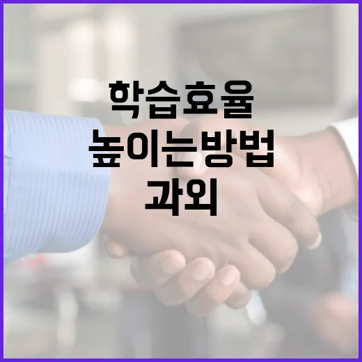 박성범 과외를 통해 학습 효율을 높이는 방법 - 요약