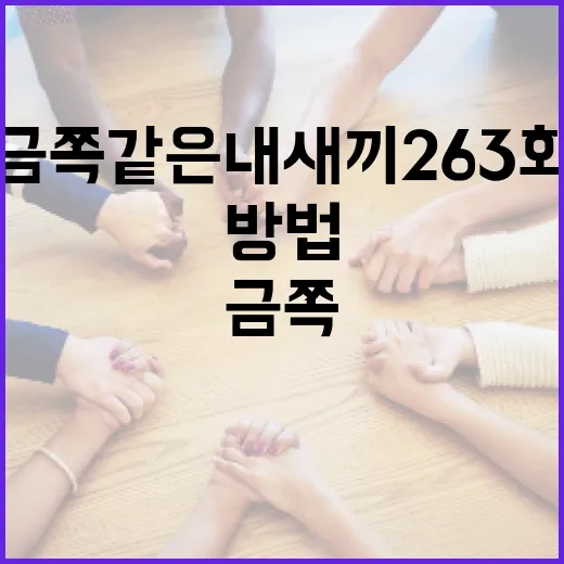 금쪽같은 내 새끼 263회를 제대로 이해하는 방법 - 요약
