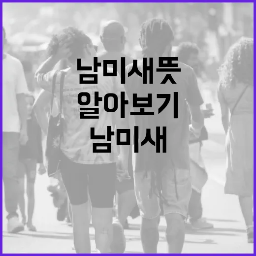 남미새 뜻과 활용 방법 알아보기 - 요약