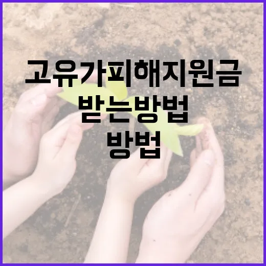 고유가 피해지원금을 받는 방법 - 요약