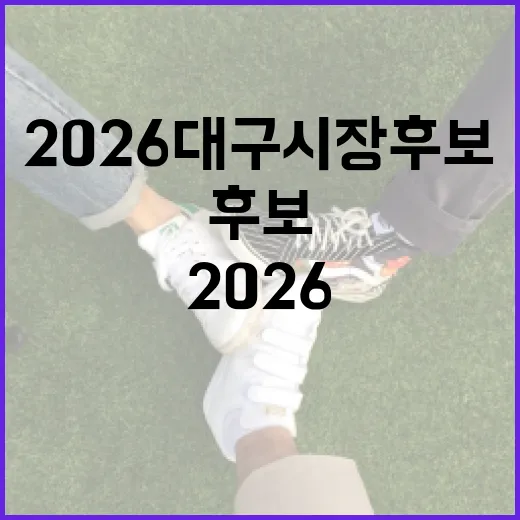 2026 대구시장 후보를 이해하는 방법 - 요약