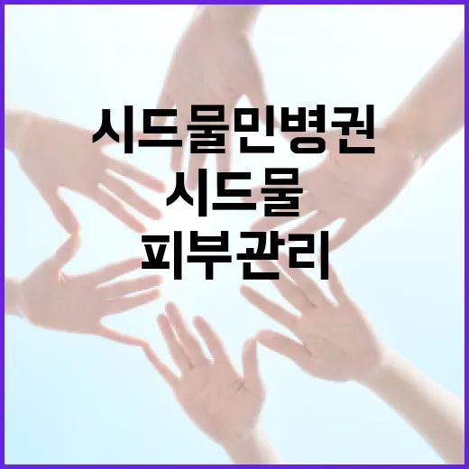 시드물 민병권 제품으로 피부 관리하는 방법 - 요약