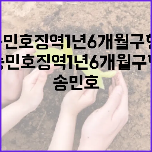 송민호 징역 1년 6개월 구형, 그 의미와 파급효과 이해하기 - 요약