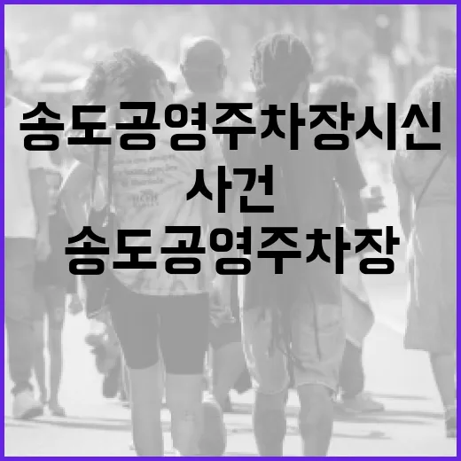 송도 공영주차장 시신 사건을 이해하는 방법 - 요약