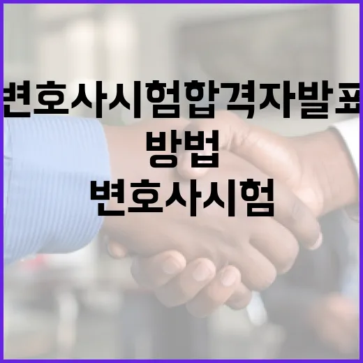 변호사 시험 합격자 발표를 확인하는 방법 - 요약