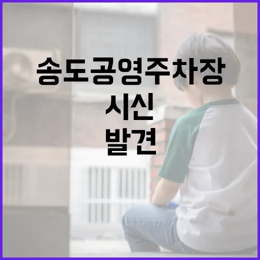 송도 공영주차장에서 시신을 발견했을 때 대처하는 방법 - 요약