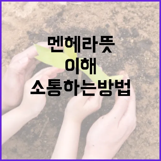 멘헤라 뜻을 이해하고 건강하게 소통하는 방법 - 요약