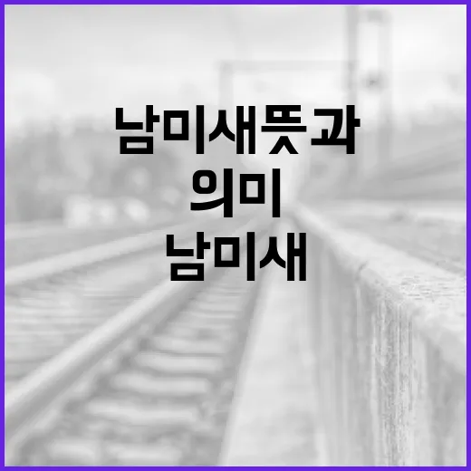 남미새 뜻과 의미를 이해하는 방법 - 요약