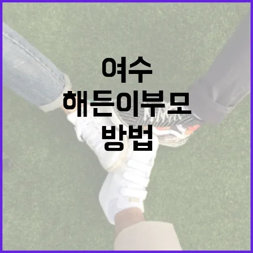 여수에서 해든이 부모로 살아가는 방법 - 요약