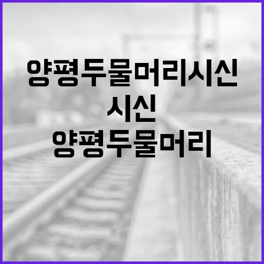 양평 두물머리 시신 관련 정보를 알아보는 방법 - 요약