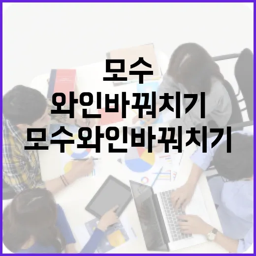 모수 와인 바꿔치기 방법과 꿀팁 - 요약