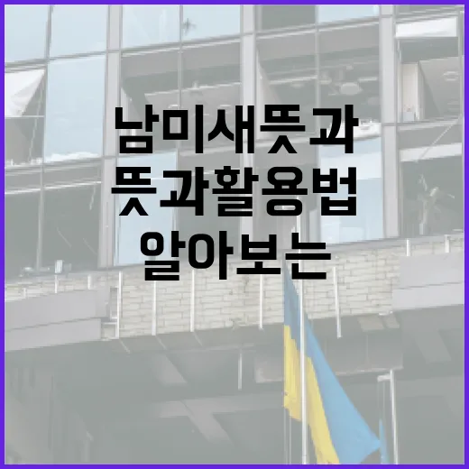 남미새 뜻과 활용법을 알아보는 방법 - 요약