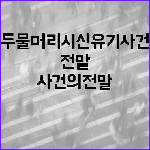 두물머리 시신유기 사건의 전말과 예방 방법 - 요약