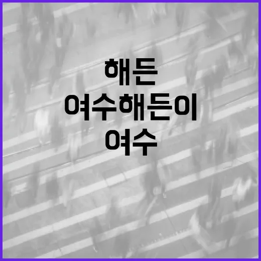 여수 해든이를 알차게 즐기는 방법 - 요약